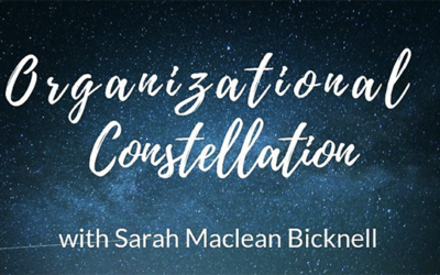 Organizational Constellations November 3rd – Seattle