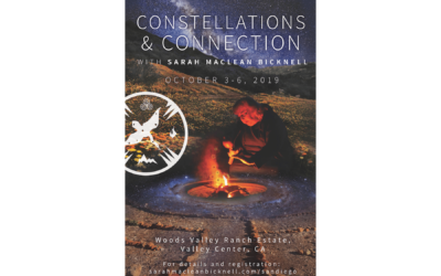 Constellation and Connection Retreat