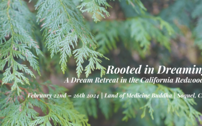 Rooted in Dreaming | A Dream Retreat | Feb 22nd-26th