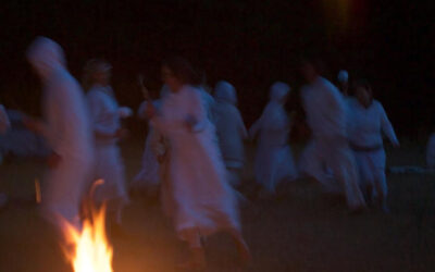 Night Turtle Dance  | July 25th-28th 2025